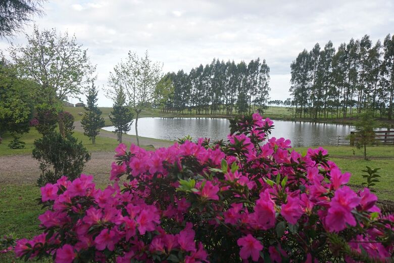 Posada Aires de Patag�nia Pousada