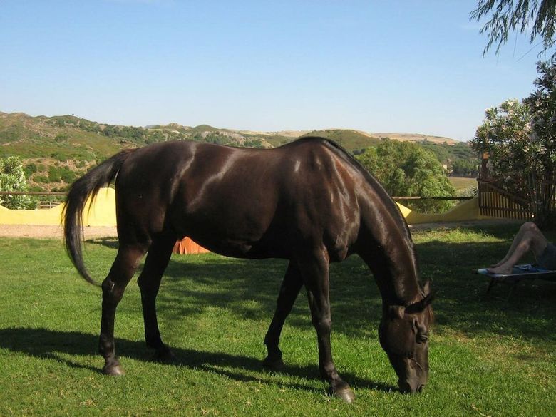 Agroturismo Agriturismo Le Scuderie de Morimenta
