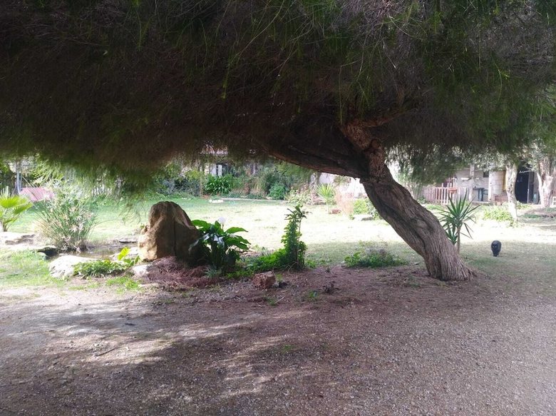 Agroturismo Agriturismo Le Scuderie de Morimenta