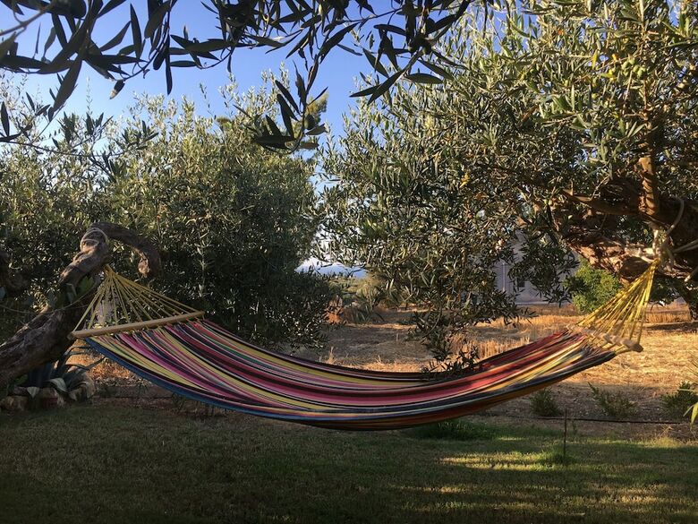 Bed & Breakfast Uliveto House