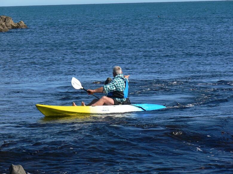 Waimeha Camping Village