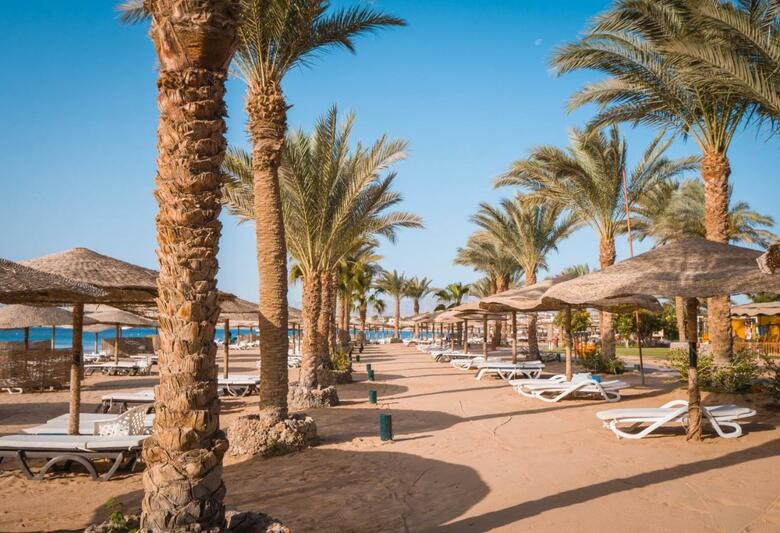 Hotel Fort Arabesque Resort, Spa & Villas