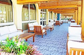 Hotel The Desert Rose Resort