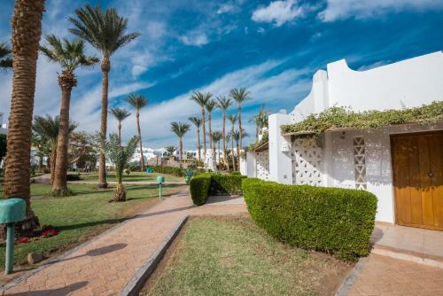 Hotel Shams Safaga Resort