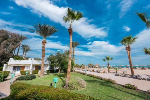 Hotel Shams Safaga Resort