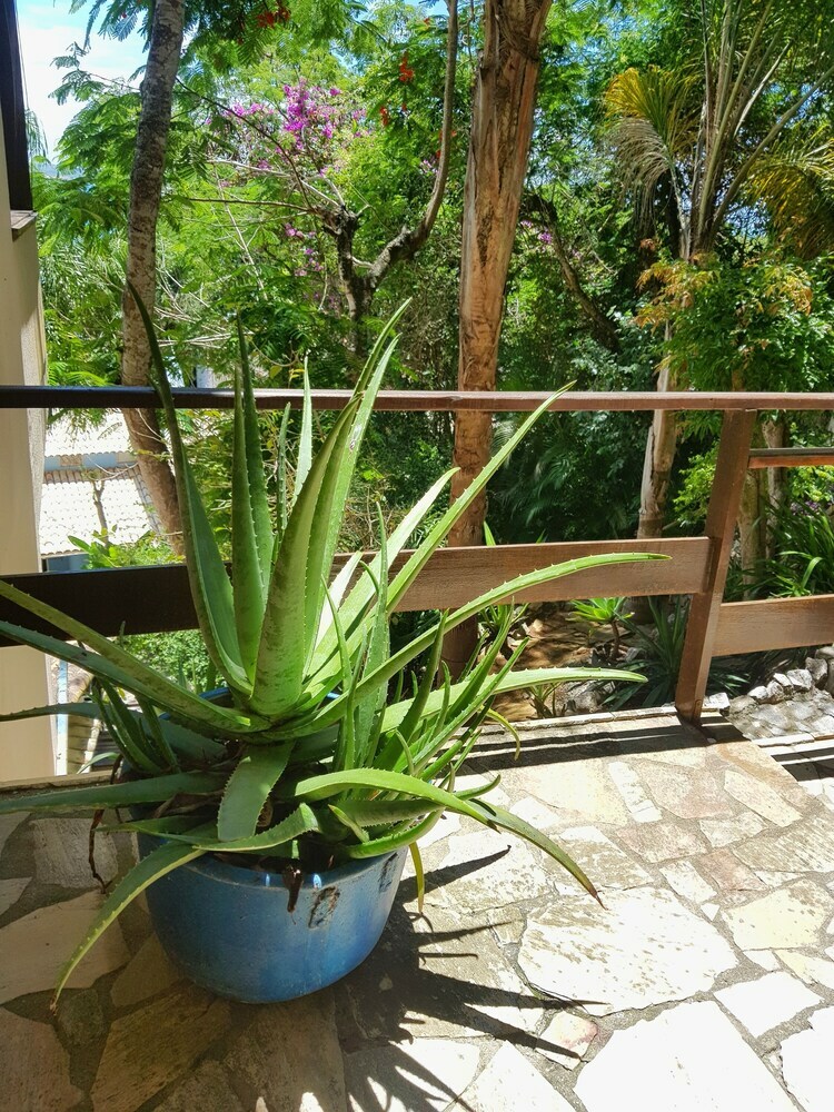 Bed & Breakfast Tudo Azul Internacional