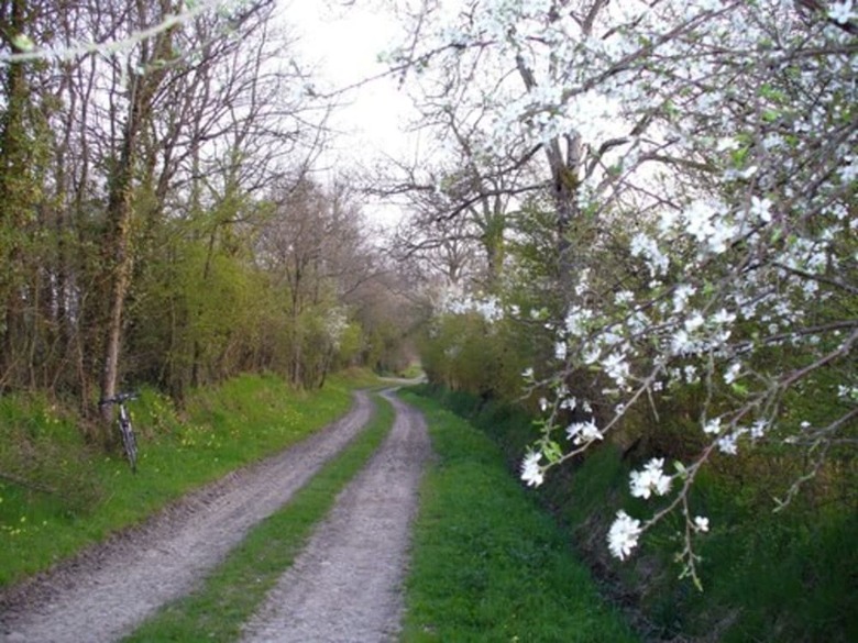 Bed & Breakfast La Ferme Du Mott�