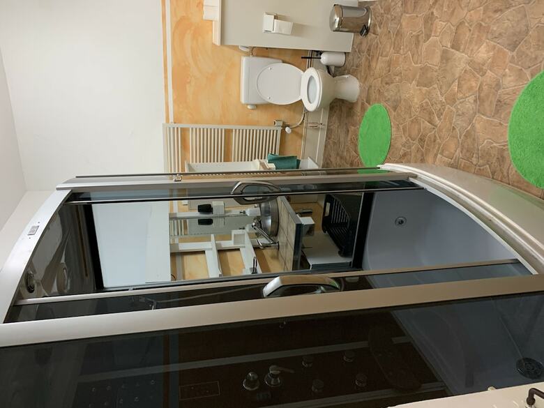 Hostal Hotel Sch�nbrunnen