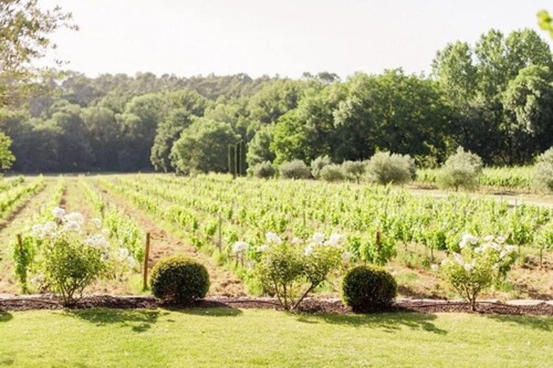 Bed & Breakfast La Bastide de Fangouse