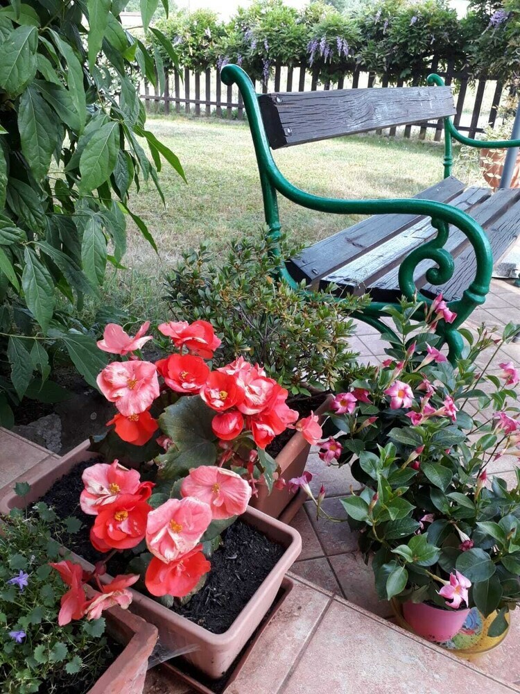 Apartamento Casa Villa