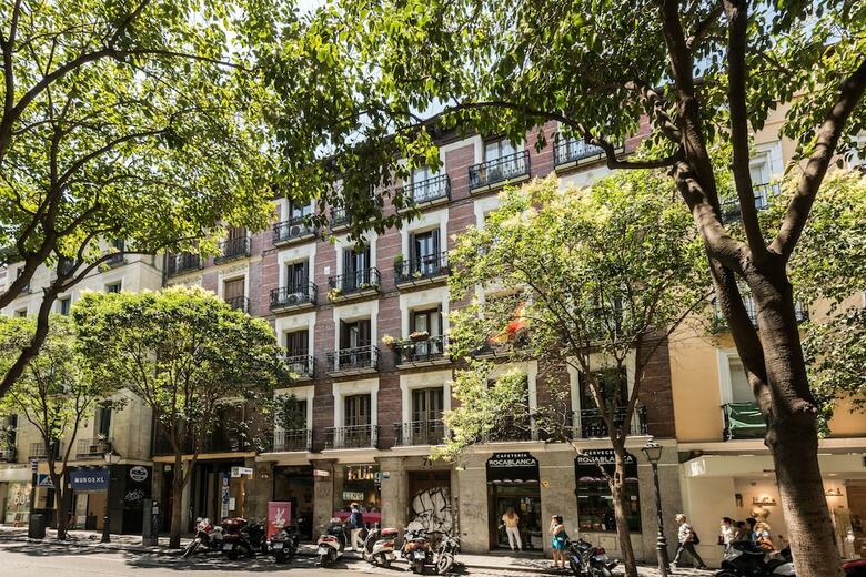 Apartamentos Loft Newman