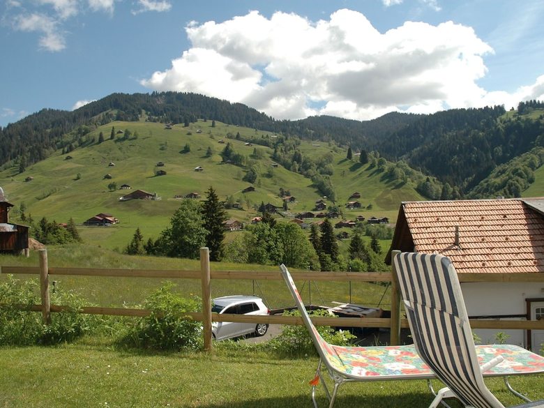 Luxurious Chalet In Habkern With Private Garden
