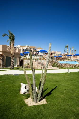 Hotel Shams Prestige Abu Soma