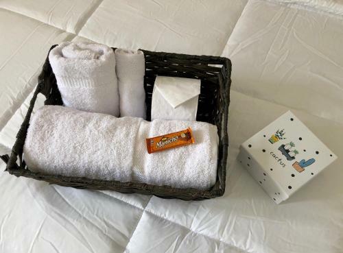 Albergue Hostal Cactus