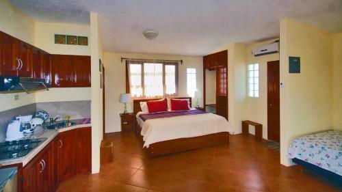 Apartamento The Galeodan Penthouse Suite