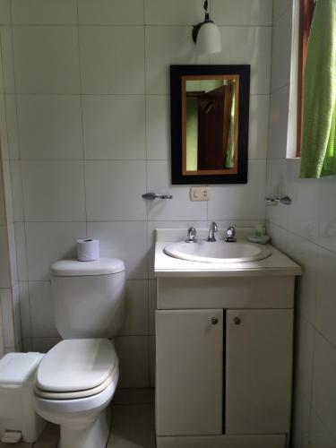 Hotel Miconia