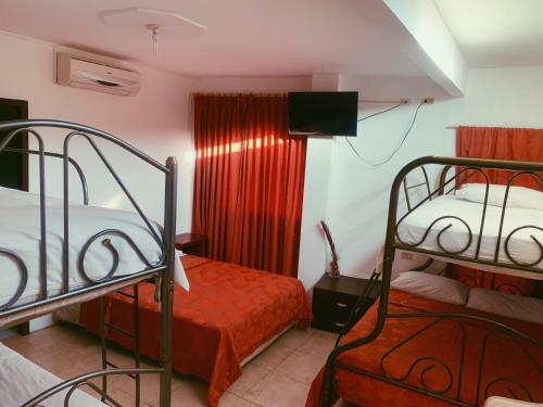 Posada Hostal Humpback Internacional