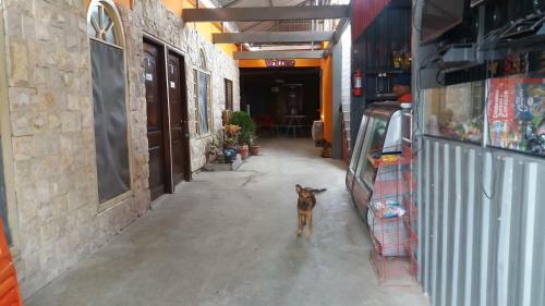 Posada Hostel Dannita