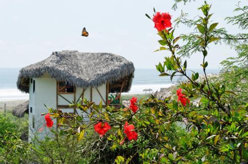 Hotel Azuluna Ecolodge