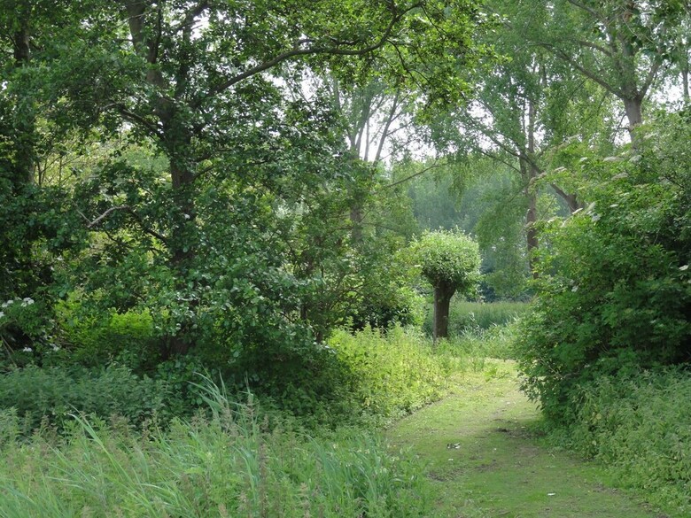 Quaint Holiday Home In Koewacht With Private Garden