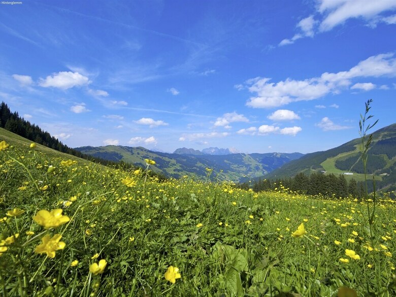 Spacious Apartment In Saalbach-hinterglemm Near Ski Area
