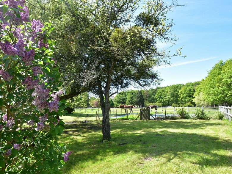 Unique Holiday Home With Pool In Combreux Centre