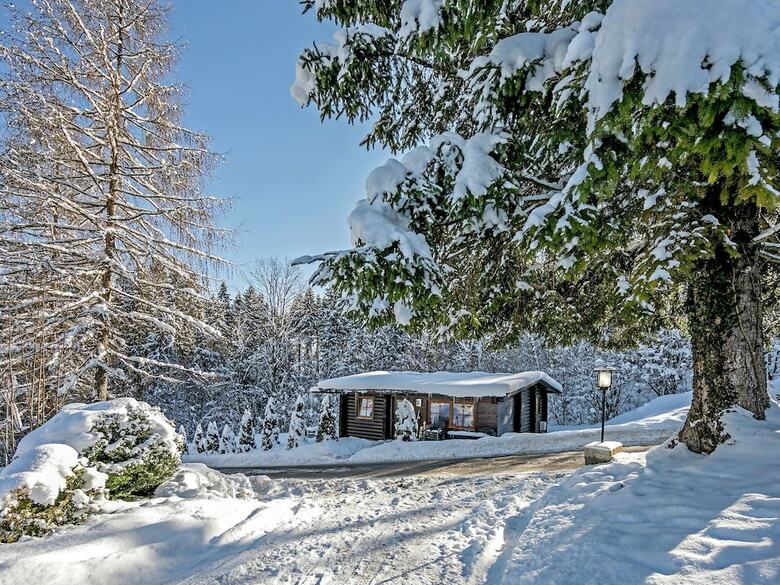 Quaint Chalet In W�rgl With Private Garden