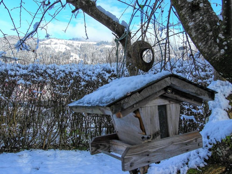 Appealing Chalet In Hopfgarten In Brixental With Sauna