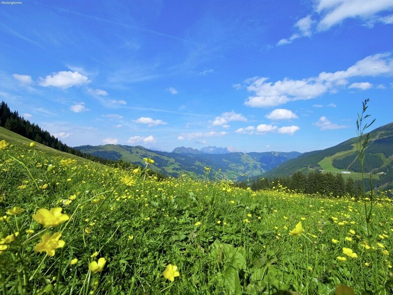 Spacious Apartment In Saalbach With Hill View