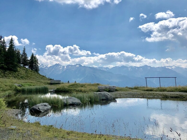 Panorama Chalet 7 With Sauna En Perfect Location