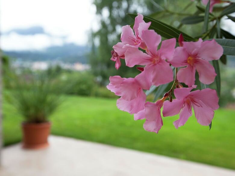 Restful Apartment With Terrace, Garden, Heating, Parking