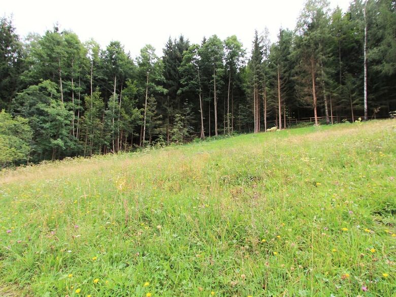 Comfortable Holiday Home In Neuhaus Near Ski Area