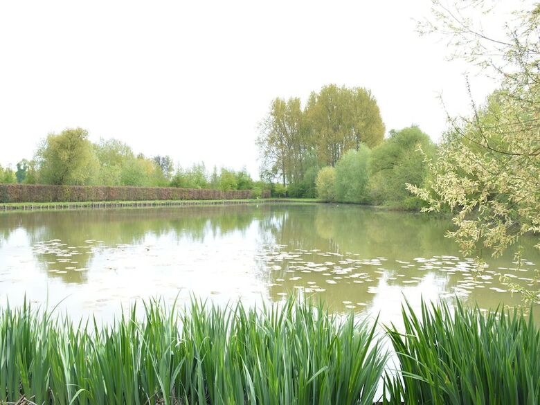 Quaint Chalet In Hannut With A Pond