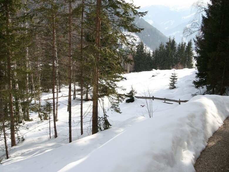 Modern Chalet Near Ski Area In Bad Kleinkirchheim