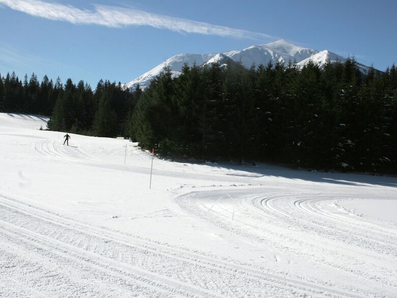 Luxury Chalet In Hohentauern With Panoramic Mountain Views