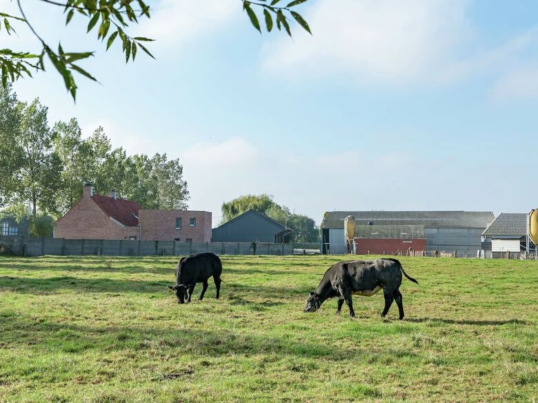 Rural Villa, 4 Kilometres From The Beach