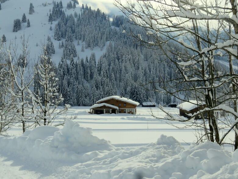 Luxurious Chalet In Hinterthal With Sauna
