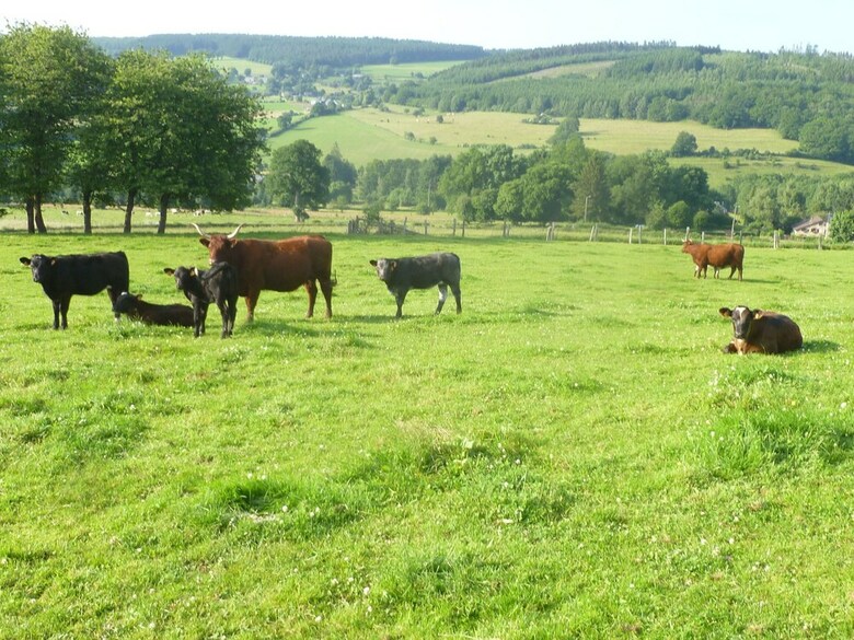 Agroturismo Group Accommodation In Beautiful, Authentic Ardennes Style