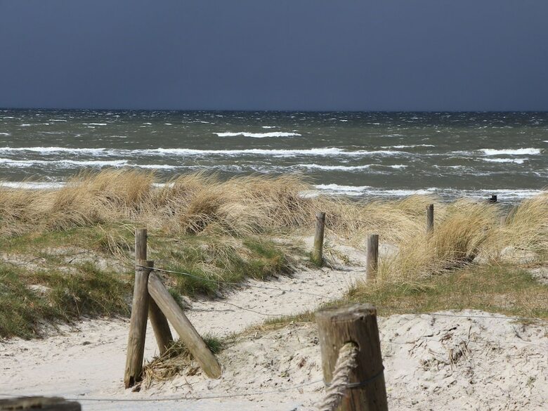 Elegant Apartment In Insel Poel With Sauna