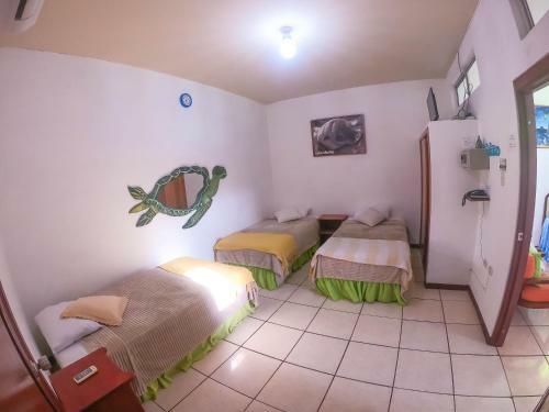 Apartamentos Suites Tintorera