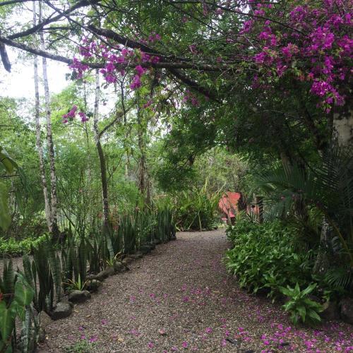 Hotel Samai Ocean View Lodge