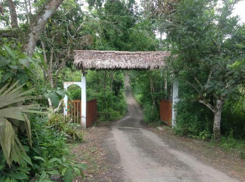 Hotel Samai Ocean View Lodge