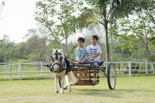 Hotel Finca Hoster�a El Retiro