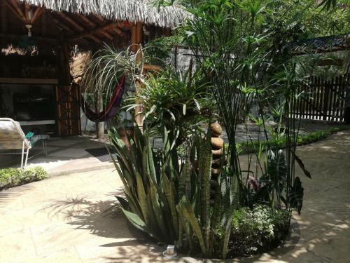 Hosteria Barlovento B&B