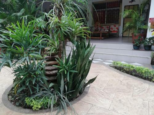Hosteria Barlovento B&B