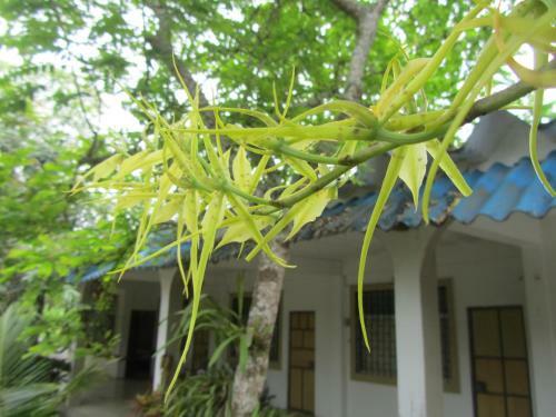 Hosteria Barlovento B&B