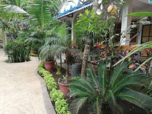 Hosteria Barlovento B&B