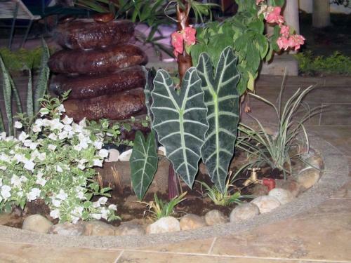 Hosteria Barlovento B&B