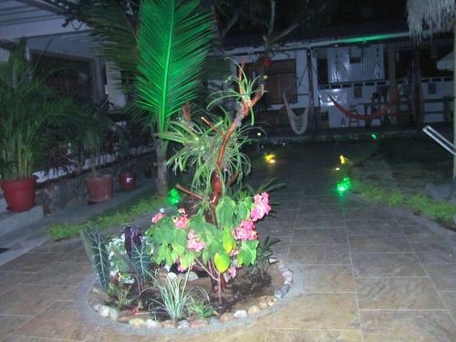 Hosteria Barlovento B&B