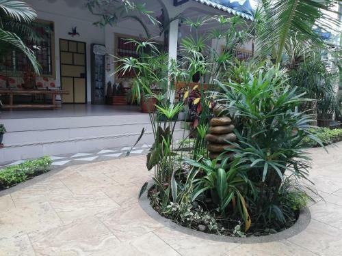 Hosteria Barlovento B&B